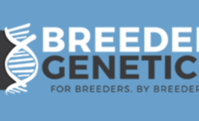 Breeder Genetics