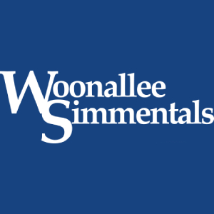 Woonallee Simmentals - Tamworth Regional Livestock Exchange