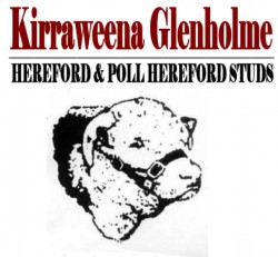Kirraweena Glenholme Herefords & Poll Herefords “Glenholme”