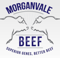 MORGANVALE BEEF 'Morganvale'