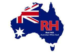 Red Hill Australian Whites