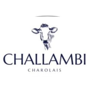 Challambie Charolais