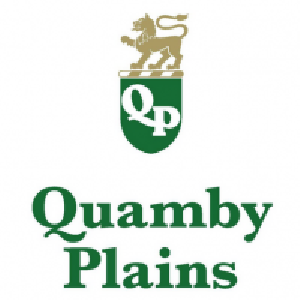 Quamby Plains