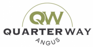 Quarter-Way Angus - Lyndhurst