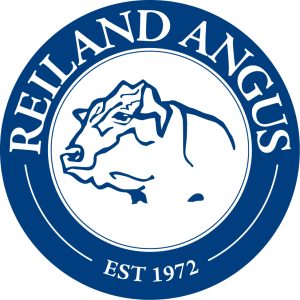 Reiland Angus - Killimicat Station