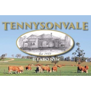 Tennysonvale Simmental Fleckvieh's - “Ivanhoe”