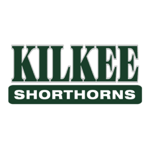 Kilkee Shorthorns - Dubbo Showgrounds