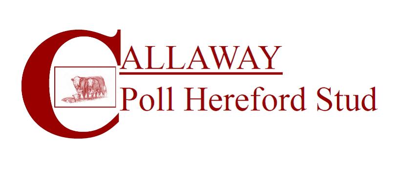 Calloway Poll Herefords - Dubbo Showgrounds