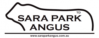 Sara Park Angus - "The Downs"