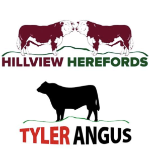 Hillview Herefords