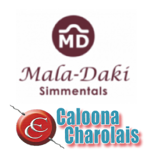 Caloona Charolais & Mala-Daki Simmentals - "Turramurra’