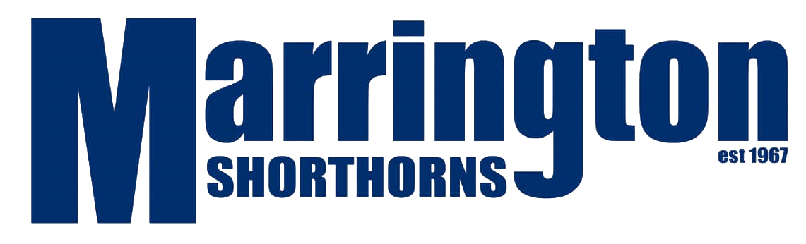 Marrington Shorthorns - Dubbo Showgrounds