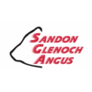 Sandon Glenoch Angus - On Property “Glenoch”