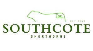 Southcote Shorthorns