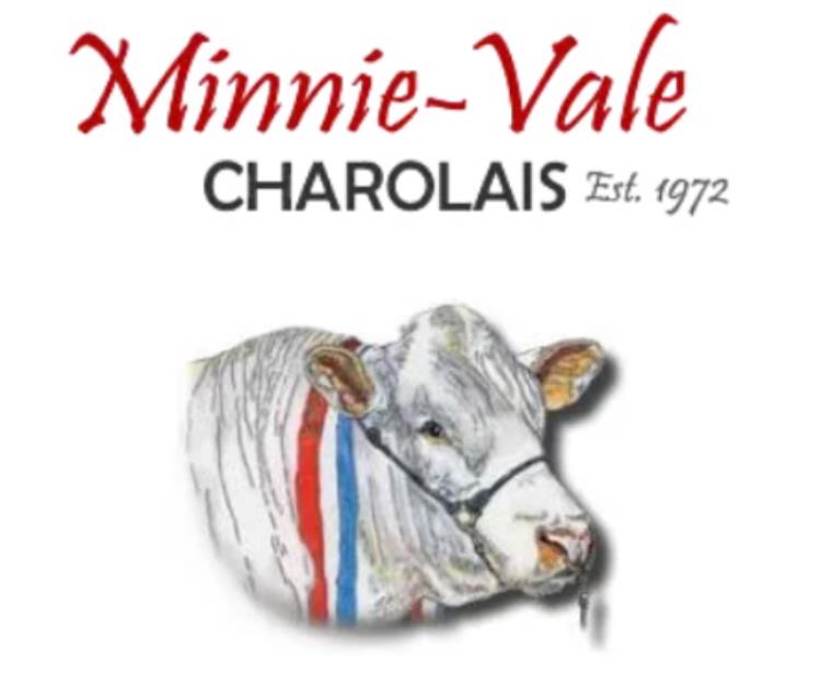 Minnie-Vale Charolais - "Bexley"