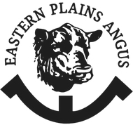Eastern Plains Angus "Eastern Plains"