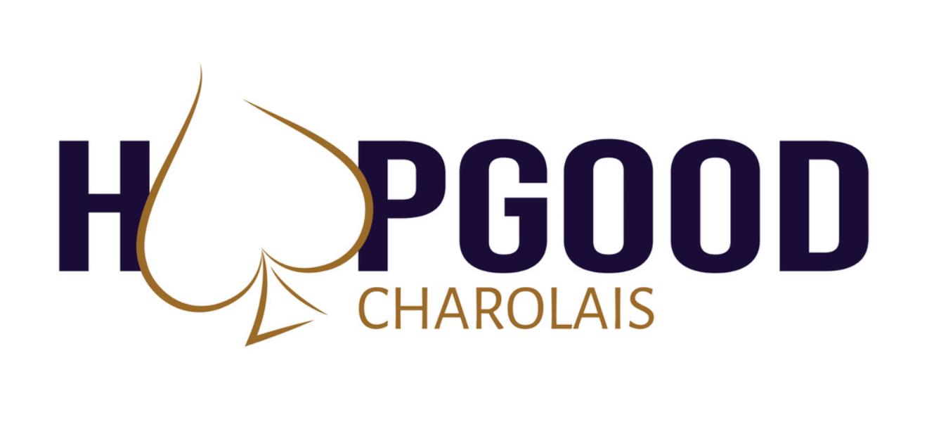 Hopgood Charolais - Clermont Saleyards