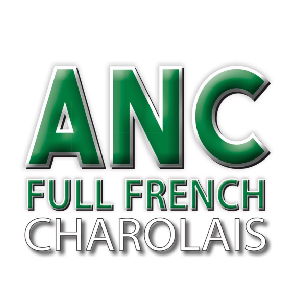 ANC Charolais - “Glen Laurel”