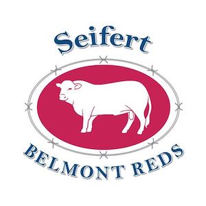 Seifert Belmont Reds – On Property ‘Wonga’