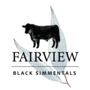 Fairview Black Simmentals