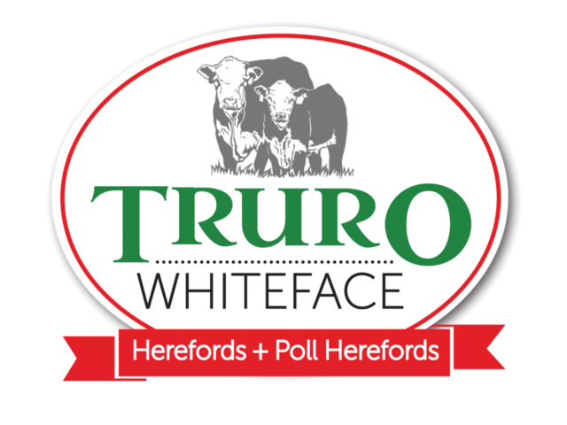 Truro Whiteface - "Truro"