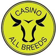 Casino All Brees Bull and Female Sale at Casino Saleyards - NRLX Livestock Exchange
