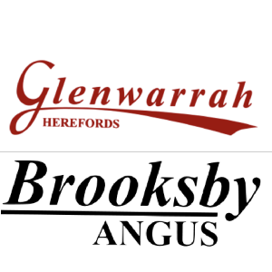 Glenwarrah Herefords & Brooksby Angus - On Property "Brooksby"