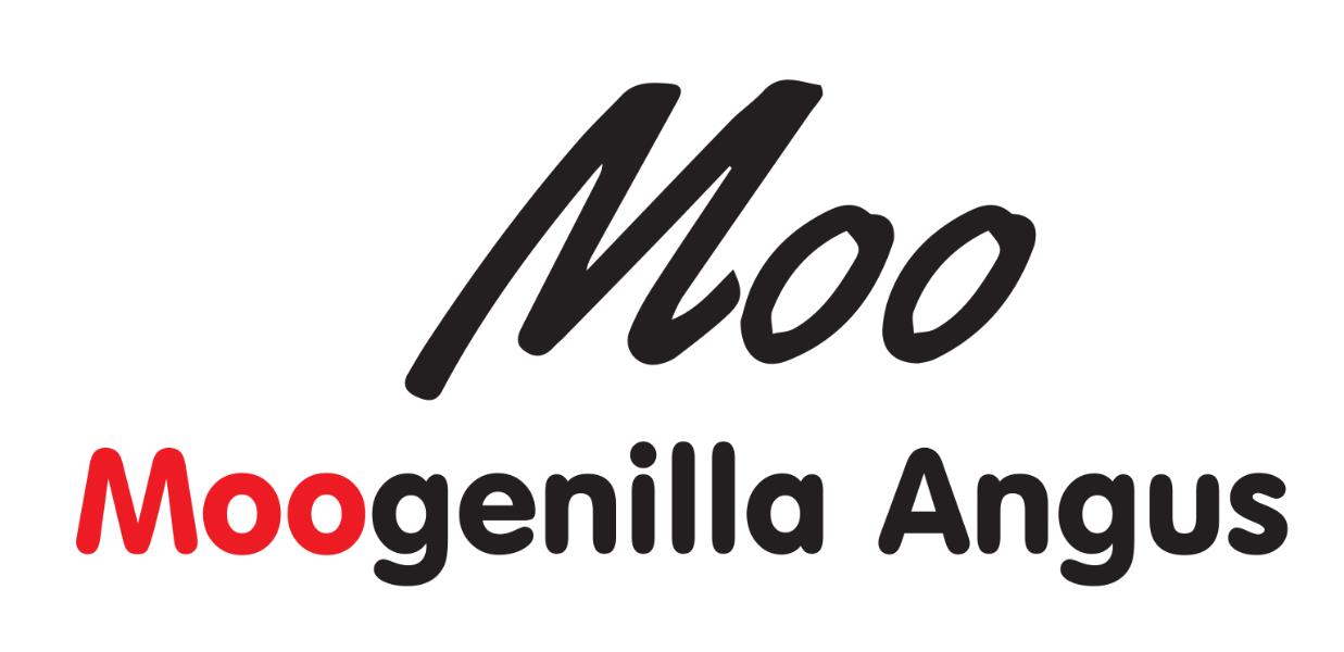 Moogenilla Angus - Forbes Central West Livestock Exchange