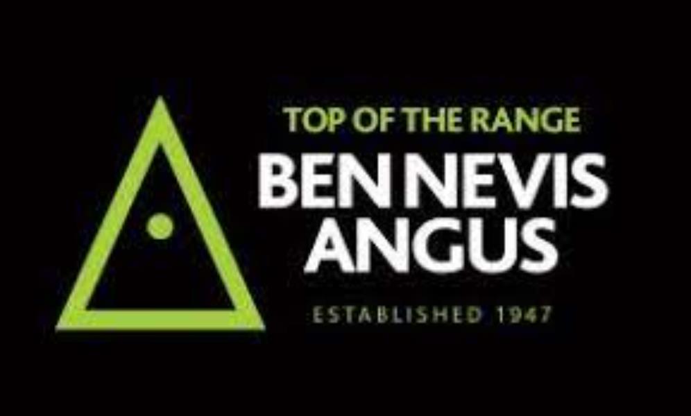 Ben Nevis Angus - “Mingary”