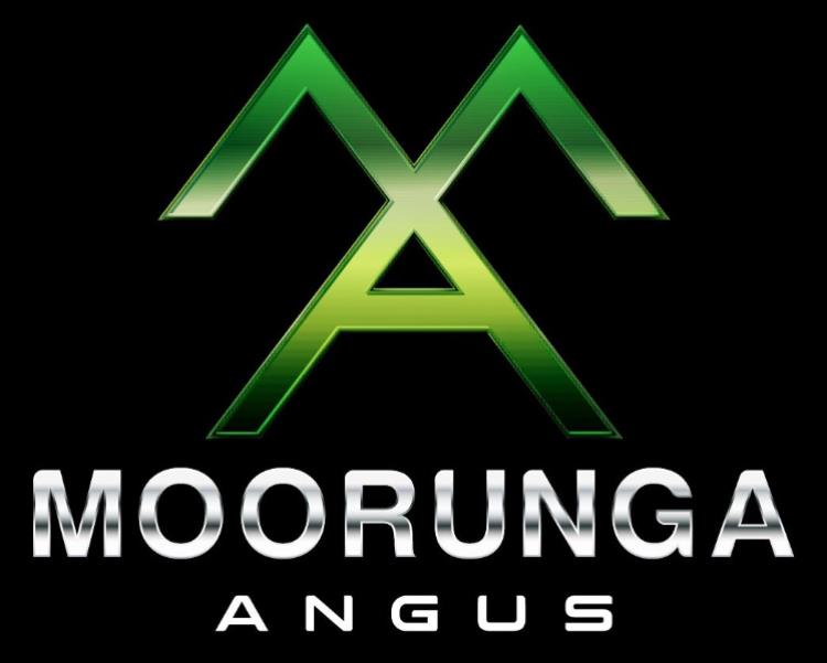 MOORUNGA ANGUS