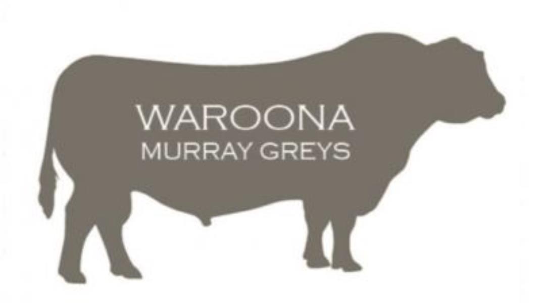 Waroona Murray Greys