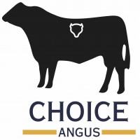 Choice Angus - OPEN DAY - On Property “Coolowie”