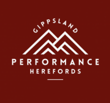 Gippsland Performance Herefords - ONLINE VIA AUCTIONSPLUS