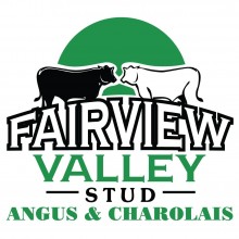 Fairview Valley Angus - AuctionsPlus ONLINE auction