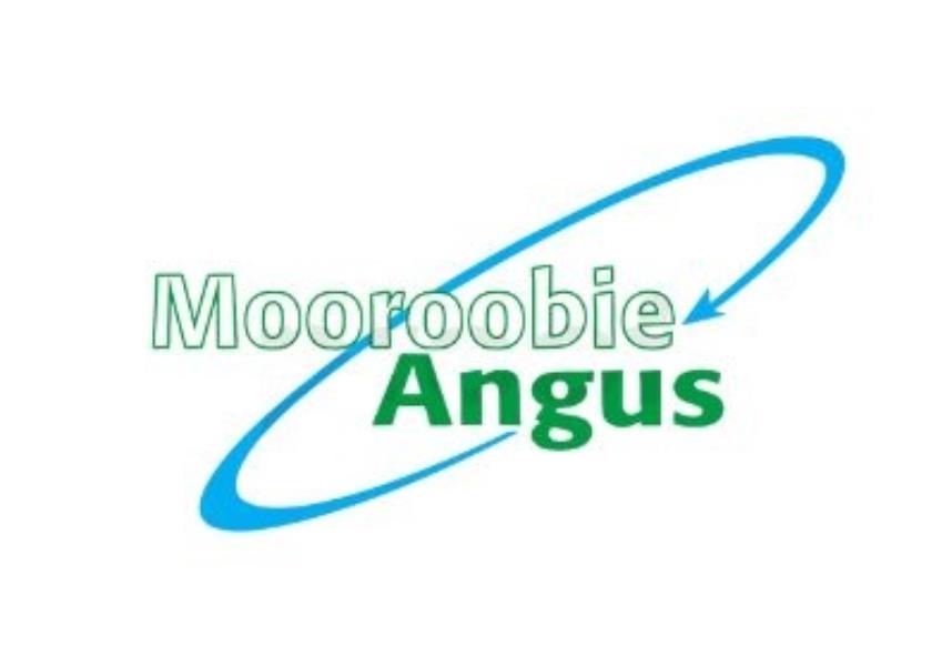 Mooroobie Angus
