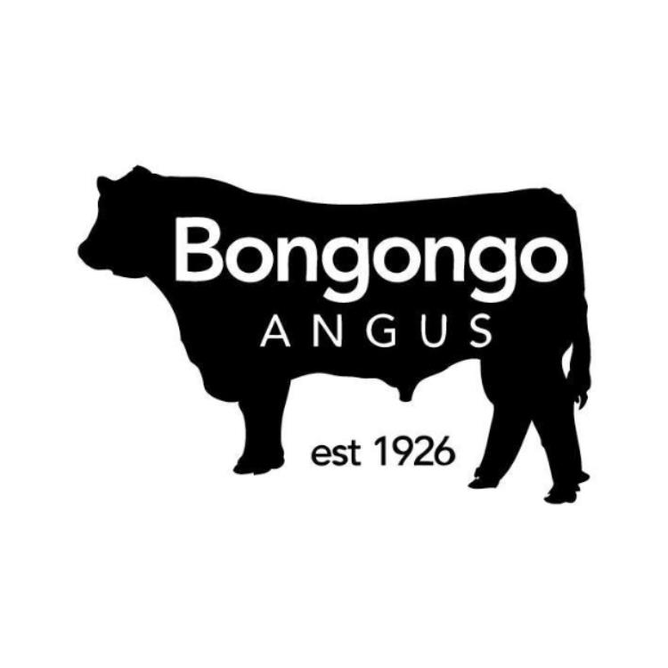Bongongo Angus - 'Riverview'-