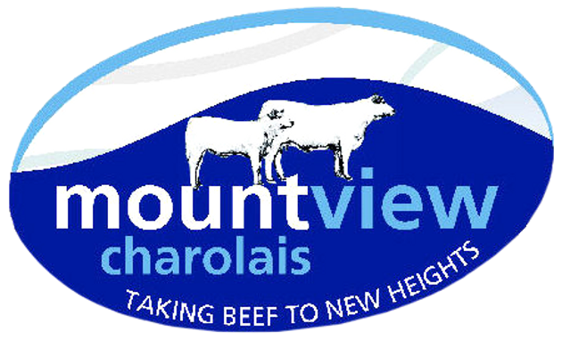 Mountview Charolais - 'Mount View"