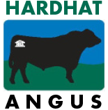 Hardhat Angus – Harden Showgrounds