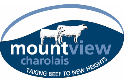 Mountview Charolais - 'Mount View"