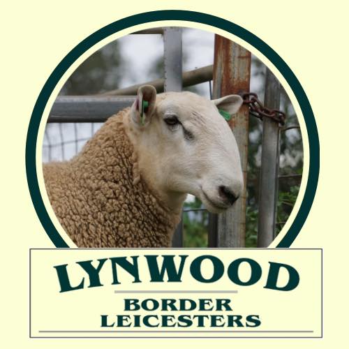 Lynwood Border Leicesters - "Lynwood"