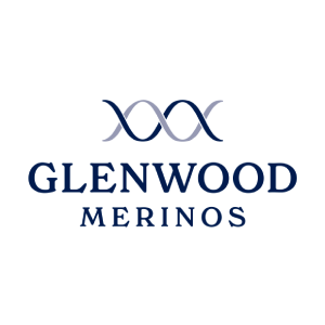 Glenwood Merinos - Glenwood Wool-shed
