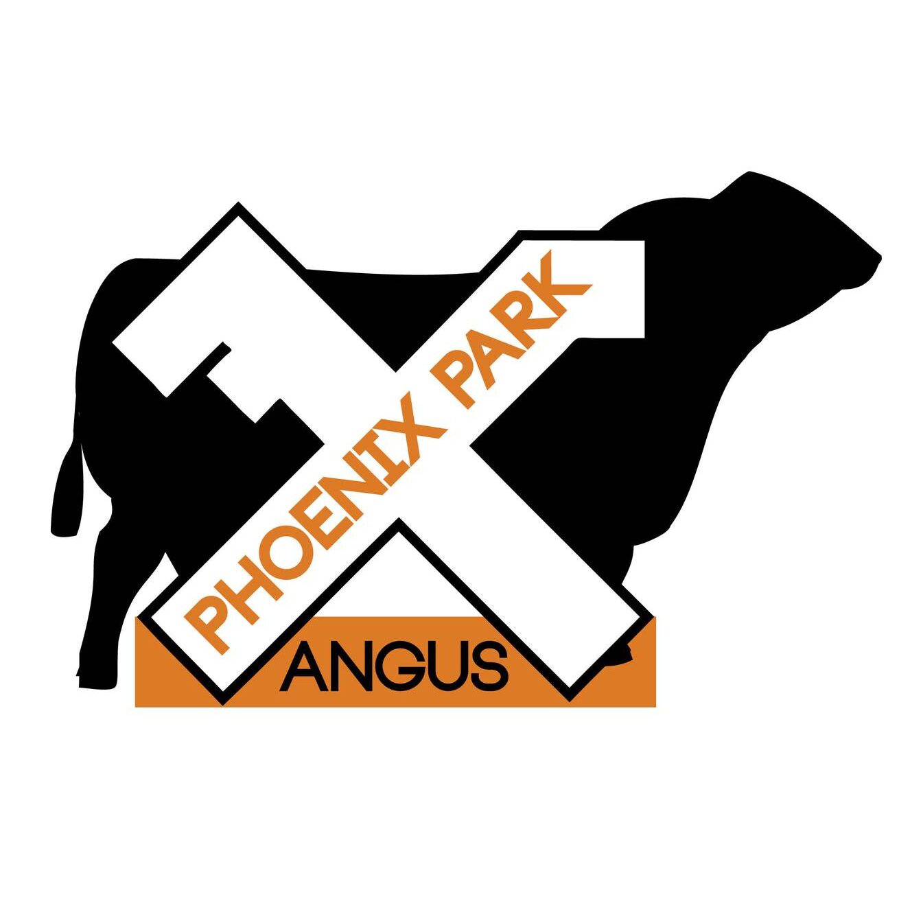 Phoenix Park Angus