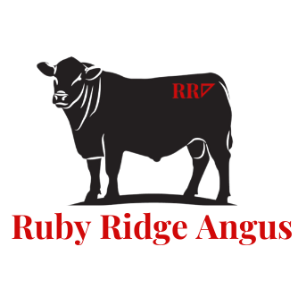 Ruby Ridge Angus - OPEN DAY