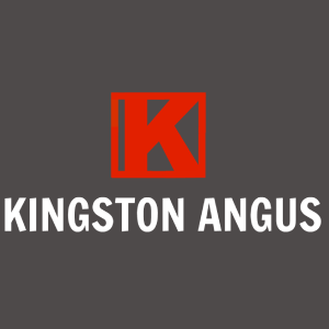 Kingston Angus