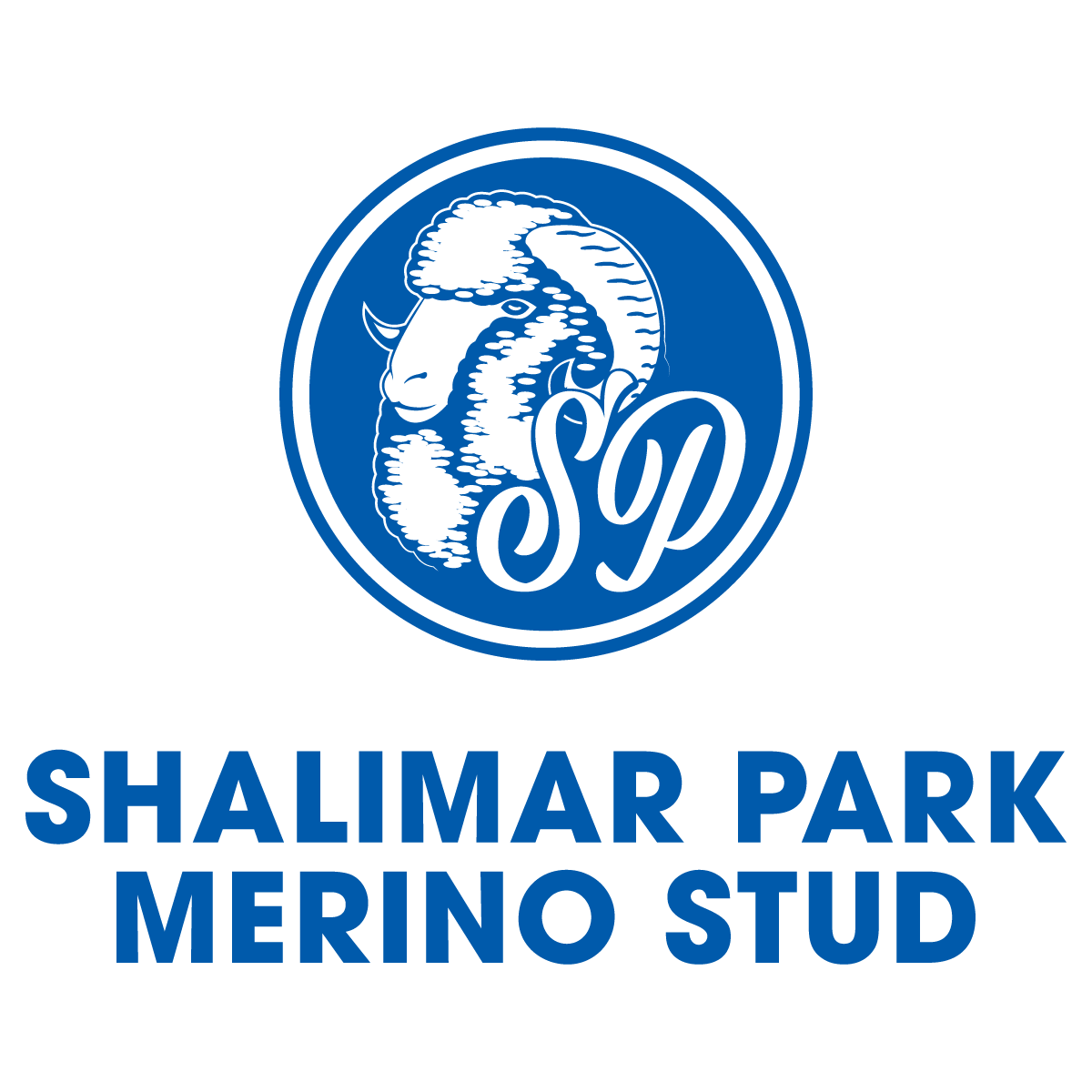 Shalimar Park Merino Stud