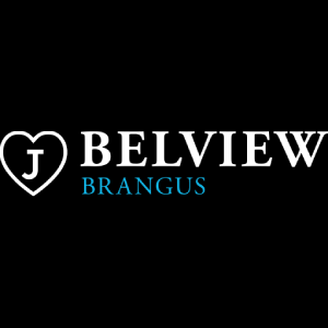 Belview Brangus