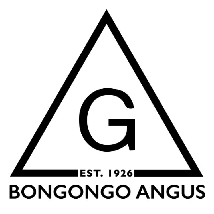 Bongongo Angus - 'Riverview'-