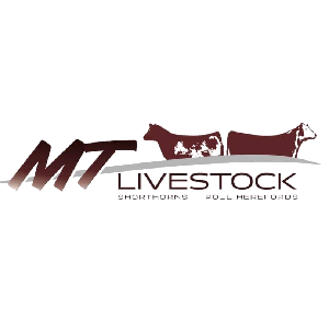 MT Livestock - Dubbo Showgrounds