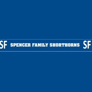 Spencer Family Shorthorns - Dubbo Showgrounds
