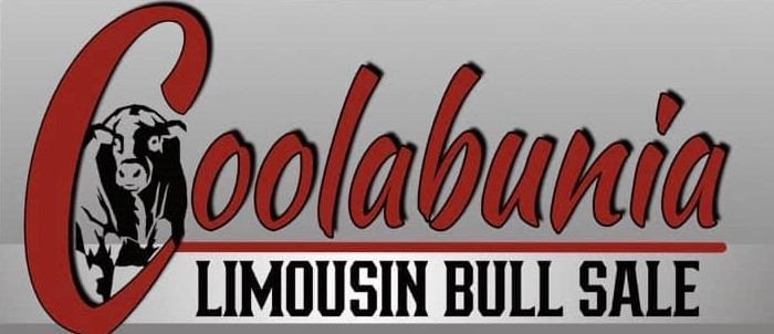 Coolabunia Limousin Bull Sale - Nanango Showground